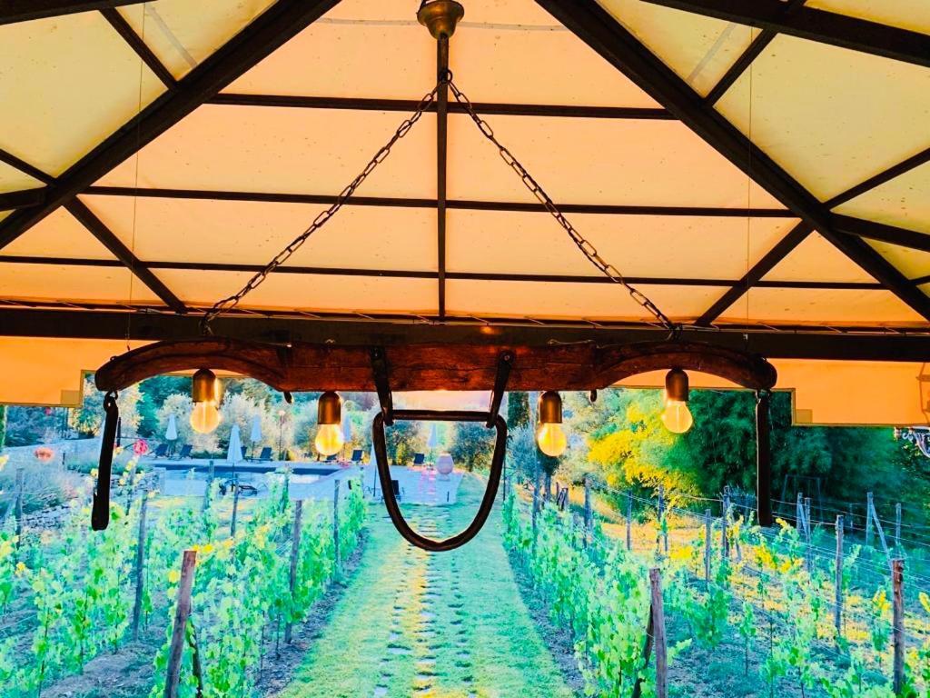 Agriturismo Borgo Il Bonagino Radda in Chianti Eksteriør billede