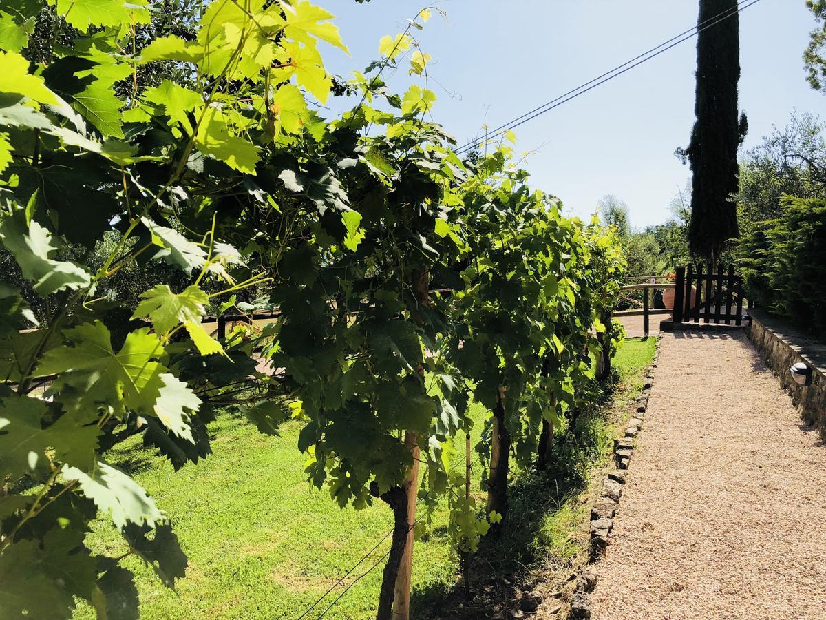 Agriturismo Borgo Il Bonagino Radda in Chianti Eksteriør billede