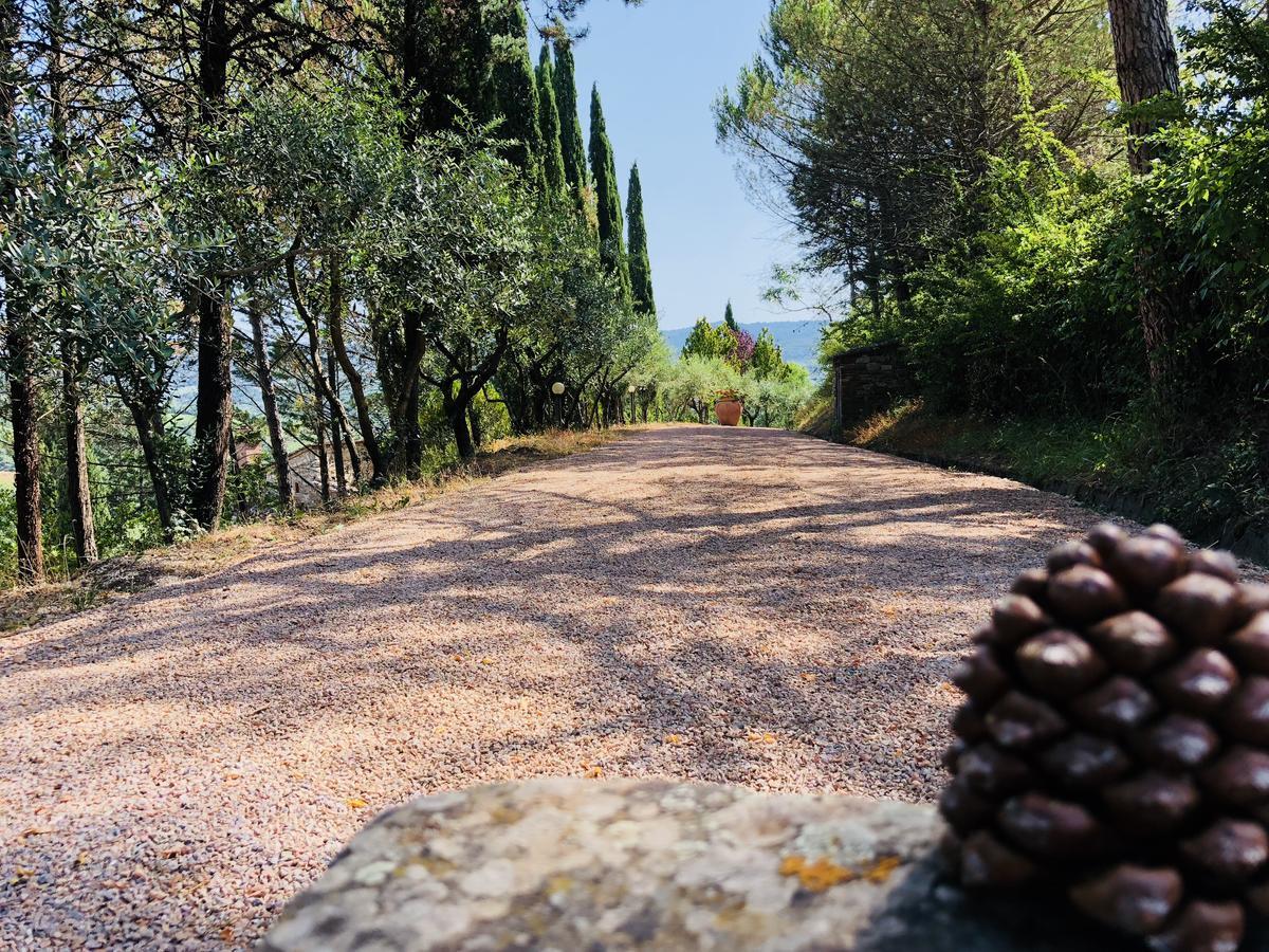 Agriturismo Borgo Il Bonagino Radda in Chianti Eksteriør billede